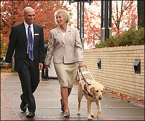 Blind woman walking with AKC Labrador akclabradors.com 